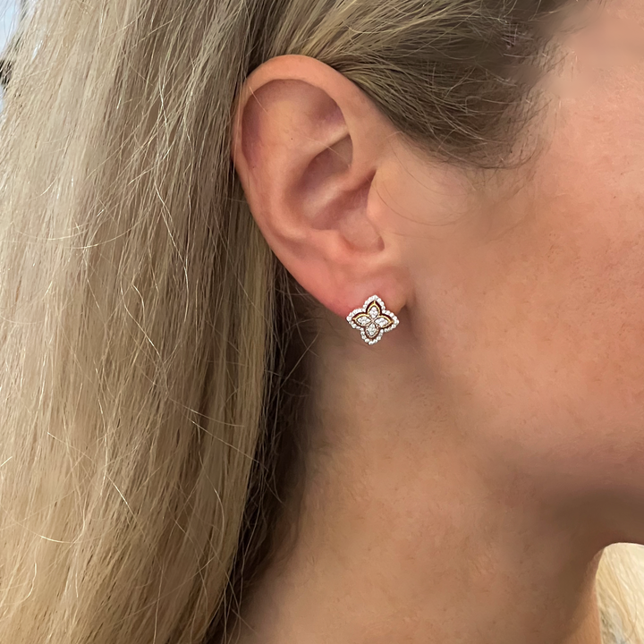 Gold Star Zircon Stud Earrings