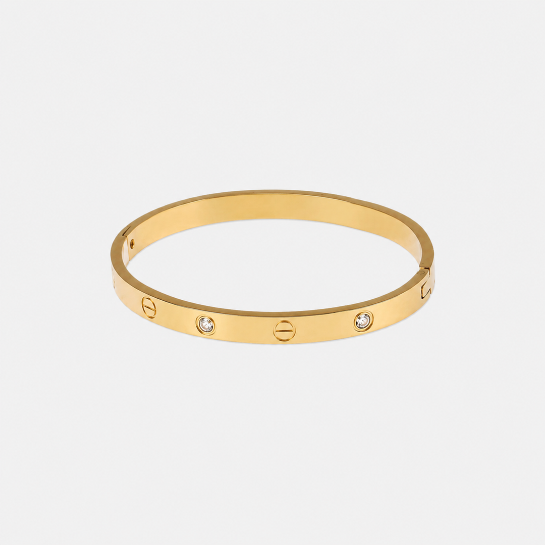 Gold Steel Screws & Stone Bangle Bracelet