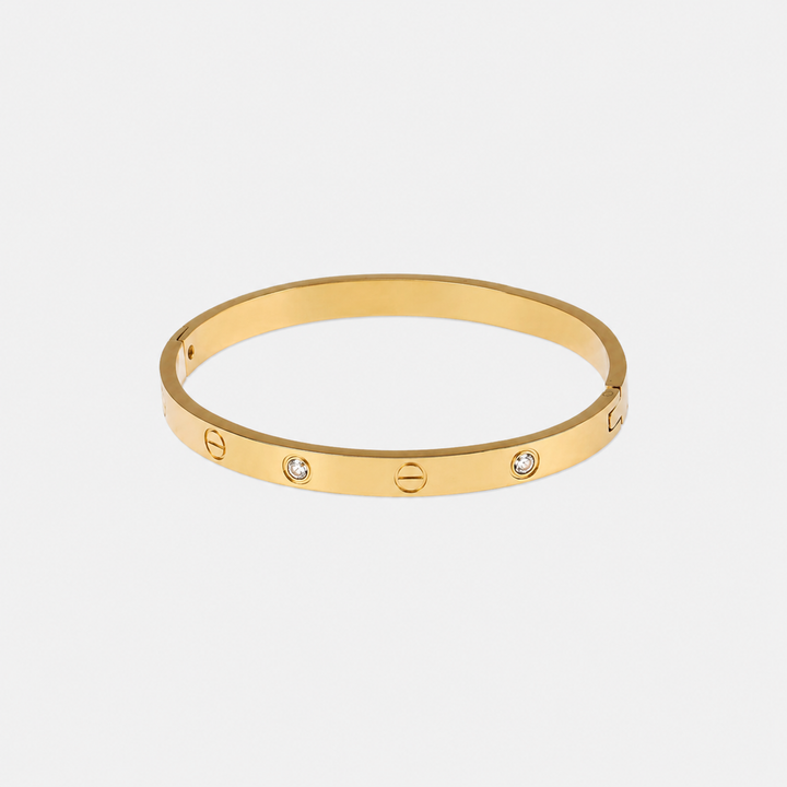 Gold Steel Screws & Stone Bangle Bracelet