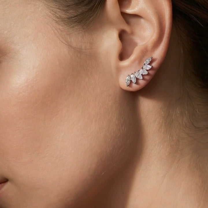 Lily Zirconia Ear Climber Earrings