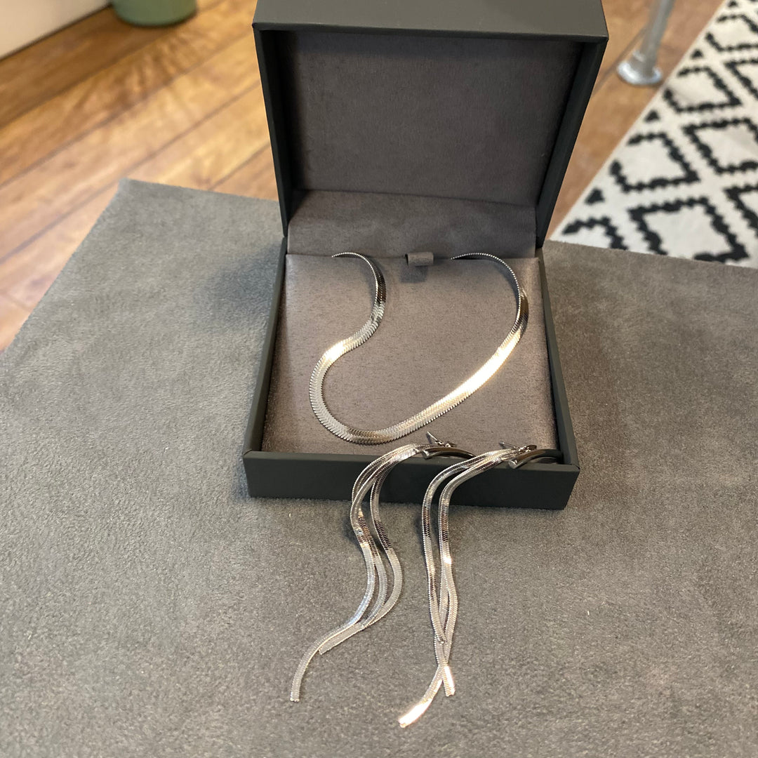Snake Chain Tassel Earrings & Necklace Gift Set