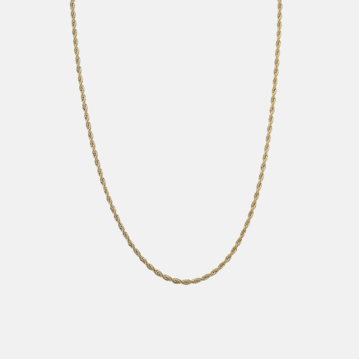 Kiwi Steel Twist Chain Necklace - Steel | Gold Steel