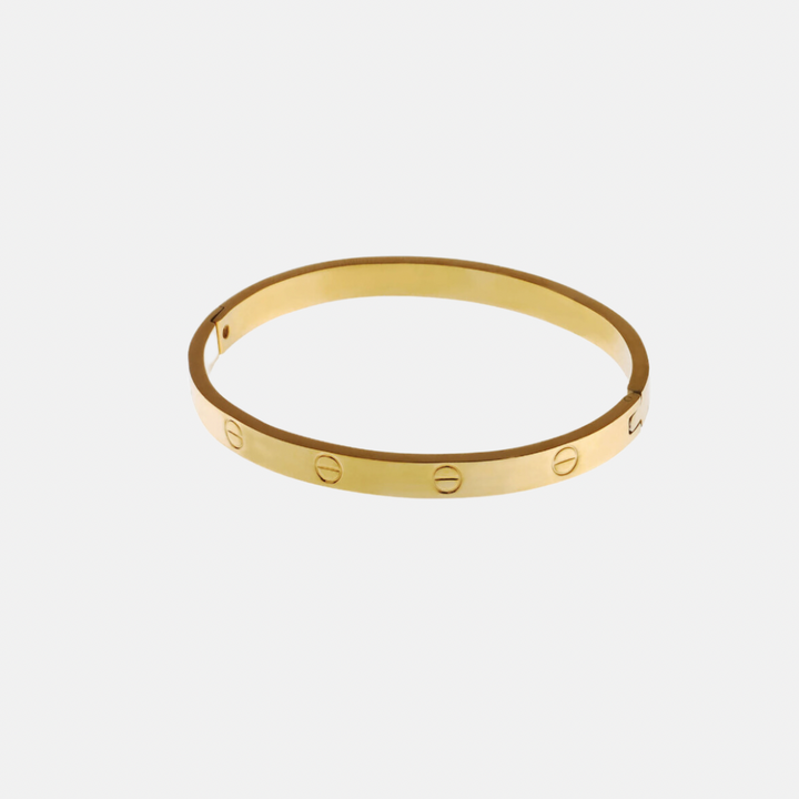 Gold Steel Screws Bangle Bracelet